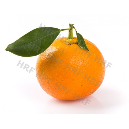 苦橙葉/回青橙