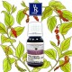 BLACKPEPPER
