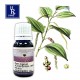 BLACKPEPPER